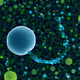 Image for article titled 27 Amazing Images From the Depths of Scientific Labs
